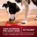 Purina ONE True Instinct High Protein Dry Dog Food Turkey & Venison - 1.72 kg Bag 1.72 kg (Pack of 1) Dog Food - Buy Online on GoSupps.com