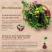 Best Botanicals Marshmallow Root Extract - 1 oz | Pure and Natural - Buy Online on GoSupps.com