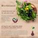Best Botanicals Poke Root Extract 1 oz - Natural Immune Support - Buy Online on GoSupps.com