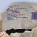 2010 Purple Bud Raw Pu-erh Tea Cake 400g from Xishuangbanna Yunnan - Buy Online on GoSupps.com
