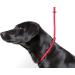 Durable Dog & Field Deluxe Gundog Slip Lead - Super Soft Braided Nylon for All Breeds - One Size, 4 Color Options (Red) - Buy Online on GoSupps.com