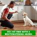Pup-Peroni Lean Beef Dog Treats - 22.5 Ounce - Made with Real Meat Stix - Buy Online on GoSupps.com