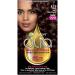 Garnier Hair Color Olia Ammonia-Free Brilliant Color Oil-Rich Permanent Hair Dye 4.15 Dark Soft Mahogany 1 Count (Packaging May Vary)