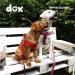 Buy Ddoxx Adjustable Air Mesh Dog Harness | Padded Step-In Design for Small Medium & Large Dogs | Available in Many Colors & Sizes - Buy Online on GoSupps.com