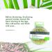 EcoTools Dry Body Brush - Enhance Your Skincare Routine & Boost Circulation - Buy Online on GoSupps.com