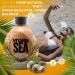 Vitamin Sea Natural Bronzer Tanning Lotion - DHA-Free Coconut Oil Formula for Sensitive Skin | Streak-Free Bronzing Accelerator 13.5oz - Safe for Indoor Tanning Beds - Buy Online on GoSupps.com