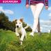 Eukanuba Dog Dry Food Jack Russell Chicken 2kg - Buy Online on GoSupps.com