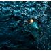 Victoria's Secret Very Sexy Sea Eau de Parfum Notes of Italian Bergamot Neroli Blossom & Sundrenched Cedar Perfumes for Women (1.7 oz) - Buy Online on GoSupps.com