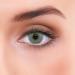 Buy Lenzotica Atlantis Gray Colored Contact Lenses - Natural Gray Coverage -2.50 Prescription 3-Month Supply Includes Case - Buy Online on GoSupps.com