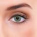 Buy Lzotica Atlantis Gray Contact Lenses - Strong & Natural Coverage -1.25 Dioptria Monthly Includes Container - Buy Online on GoSupps.com