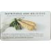 Wild Planet Wild Mackerel Fillets in Organic Extra Virgin Olive Oil | Skinless & Boneless | 4.4 oz (Pack of 12) | Mercury Tested - Buy Online on GoSupps.com