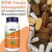 Now Foods Ashwagandha Root Extract 450 mg - 90 Vegan Capsules Lab Tested Gluten Free Plant-Based - Buy Online on GoSupps.com