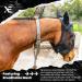 XE Horse Fly Mask with Ears | UV Protection & Breathable Mesh | Pony Size - Black - Buy Online on GoSupps.com