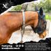Xe Horse Fly Mask with Ears | Breathable UV Protection & Bug Shield for Standard Riding - Black COB (M) - Buy Online on GoSupps.com