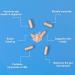 Probiotic Complex Supplement for Gut Health & Digestion - 21 Billion CFU with Prebiotic - Vegan - 60 Capsules - Buy Online on GoSupps.com