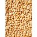 KoRo - Organic pine nuts 100 g - Crunchy and aromatic - No preservatives - From organic farming - Buy Online on GoSupps.com