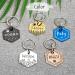 Custom Dog Tags  Funny Double Sided Deep Engraved Stainless Steel Pet Id Tags for Dogs  Cat & Dog Collar Charm Microchips  Lightweight Sturdy Cute Cat Id Tags  Personalized Dog Name Tags Hexagon - Buy Online on GoSupps.com