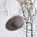 Sober Detox Konjac Sponge | Purely Vegetable Face & Body Cleaner | Gentle Peeling for Radiant Skin & pH Balance - Shop Internationally - Buy Online on GoSupps.com