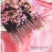 16-Piece Professional Nail Art Brush Set for Gel Nail Design | Portable Case UV Gel Brushes Liner Flat Round & More - Buy Online on GoSupps.com