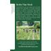 Traditional Medicinals Tisane d'ortie bio - Favorise la sant des articulations et le bien- tre g n ral - Lot de 16 sachets - Buy Online on GoSupps.com
