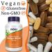 Now Foods Double Strength Ginkgo Biloba 120mg - 100 Vegan Capsules | Lab-Tested, SOYA Free, Gluten Free, Vegetarian, Non-GMO - Buy Online on GoSupps.com