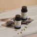 Terra Origin Healthy Gut Capsules with Vitamin D - 60 Count for Digestive Support - Buy Online on GoSupps.com