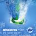 Tide PODS Laundry Detergent Soap Pods - 81 Count, Spring Meadow Scent - Pack of 1 - Buy Online on GoSupps.com