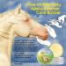 Blissful Horses Summer Care Sun Butter - Gentle Horse Sunscreen Easy-to-Apply Equine Sunblock 16 oz - All Day Sun Protection for Horses - Buy Online on GoSupps.com