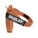 Julius-K9 Color & Gray Belt Harness XL / 2 orange-grey