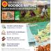 200gr Rooibos Nature BIO Nab r Rooibos Vrac BIO Th Rouge Antioxydant 0% Th ine 0% Caff ine Doux Relaxant - Buy Online on GoSupps.com
