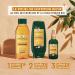 La Proven ale Bio Nutrition Rich Honey Shampoo Dry Hair Certified Organic 250 ml (Pack of 1) - Buy Online on GoSupps.com
