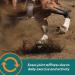 Farnam Next Level Joint Fluid Supplement 16oz - Supports Hip & Joint Health for Horses & Dogs - Buy Online on GoSupps.com