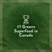 Genuine Health Greens+ Extra Energy 50 servings Superfoods Antioxidants and Polyphenols for daily immediate energy or workout boost Natural Orange flavoured powder 670g Natural Orange 50 Servings - Buy Online on GoSupps.com
