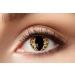 Eyecatcher 84078841-758 - Colored contact lenses 1 pair for 12 months red carnival Mardi Gras Halloween Leo Cat