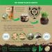 Numami Organic Detox Energy Powder for Smoothies - Ultimate Metabolism Boost & Energy, Caffeine-Free - Buy Online on GoSupps.com