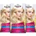 Palette intensive creme coloring 100/l6-0 ultra-lond level 3 (3 x 125 ml) permanent brightener for radiant long-lasting blonde hair color anti-yellowish effect 100/l6-0 Ultrablond 375 ml (1 Pack)