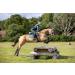 LeMieux ProShell Brushing Horse Boots - Large Black Carbon Air Xc - Buy Online on GoSupps.com
