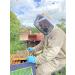 Pure and Natural Honey Single Origin By M l Gwenyn Gruffydd Honey | Local Welsh Wildflower Unpasteurised | 227g Glass Jar | Pure Natural Honey | Raw Welsh Honey | Wildflower Honey - Buy Online on GoSupps.com