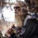 Duck Commander Specialty Series Teal Hen Duck Call - Realistic & Easy to Use - Buy Online on GoSupps.com