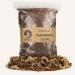 Premium SYBASoil Terrarium Soil 5 liters Terrarium Substrate Terrarium Soil