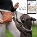 Ostfriesenpfoten Frieda Dog Treat Pouch - High-Quality Synthetic Leather Brown Size M - Easy Open Single-Handed Lock Gassitasche for Dog Owners | International Shipping - Buy Online on GoSupps.com