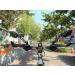 TUSK Blue Lens Left Side Bike Mirror - Anti-Glare Wide-Angle Safety with 360 Adjustability - Buy Online on GoSupps.com