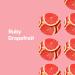 Ruby Grapefruit Hand Soap 12.75 oz (Pack of 3) | Plant-Based Cleanser with Essential Oils - Buy Online on GoSupps.com