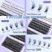 Buy TOOCHUNAG Fluffy Lash Clusters & Bottom Lashes - Wispy Individual Eyelash Extensions 10-18mm | DIY Curly Lash Extensions at Home - Buy Online on GoSupps.com