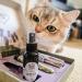 Buy ne & no Valerian Spray Gift Set for Cats - 2 x 50ml | Perfect for Toys Scratching Trees Litter Box | Enhance Playtime with Cat Mint Spray - Buy Online on GoSupps.com