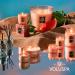 Voluspa Kalahari Watermelon Candle - 5.5 oz Clean Burning Coconut Wax 50 Hour Burn Time All Natural Wicks | Buy Internationally - Buy Online on GoSupps.com