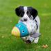 Shop Petface Little Rocket Plush Dog Toy for Puppies - Soft Durable & Perfect for Playtime | International Shipping Available - Buy Online on GoSupps.com
