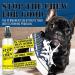 Emmy's Best Pet Products Stop The Chew 3X Strength Anti Chew Bitter Spray for Dogs - Alcohol-Free - 8oz - Buy Online on GoSupps.com