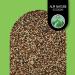 Organic Quinoa Bunt (500g) - Gluten-Free Vegan Colorful Tricolor Quinoa from Controlled Organic Cultivation - Buy Online on GoSupps.com