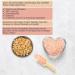 Buy Punjab Popcorn 500g (2-Pack) - Flavored with Sweet or Pink Himalayan Salt | International Shipping - Buy Online on GoSupps.com